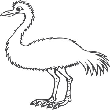 recommend clip art: Emu bird coloring pages for coloring book