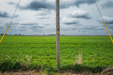 Shallow focus of a wooden telegraph pole and metal roped anchor points seen in a rural, English location. The pole is used to carry fibre optic broadband to a rural community. - obrazy, fototapety, plakaty