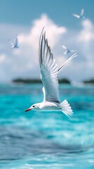 A white tern effortlessly glides over crystal clear tropical waters, embodying the spirit of freedom and adventure - obrazy, fototapety, plakaty