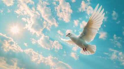 A serene sky funeral scene, expansive blue sky with soft clouds, a single white dove ascending gracefully