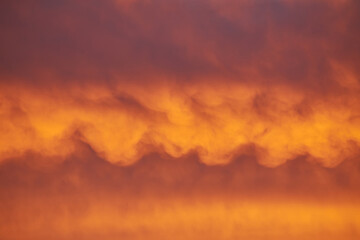 Cloudscape of cumulus sunset clouds