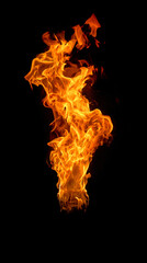 Burning torch fire  on a black background.
