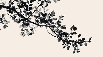 Naklejka premium isolated tree branches with leaves creating intricate shadow overlays natureinspired design elements for compositing and layering