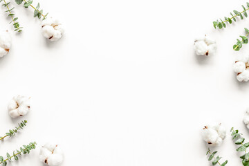 Composition with eucalyptus branches and cotton flowers on white background top view, flat lay space for text