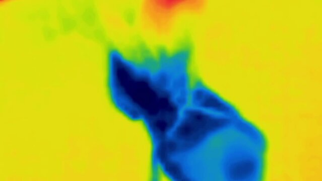 Boot, ankle boot. Image from thermal imager device.
