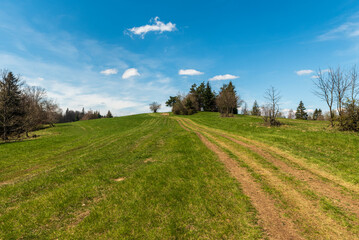 Fresh green springtime meadow with few trees and blue sky with only few clouds in Javorniky mountains in Slovakia