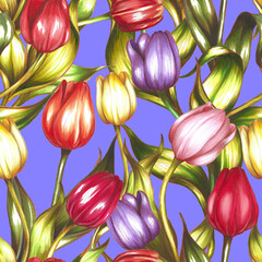 Seamless pattern with hand drawn tulips. Vintage floral ornament. Spring botanical design.	