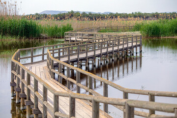 Wooden walkway zigzagging over one of the lagoons of the El Fondo natural park, Alicante, Valencian Community, Spain
