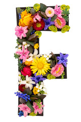 Letter F made of real natural flowers and leaves on white background isolated.