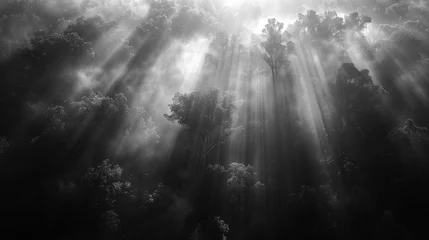 Fotobehang Mystical Sunlight in Foggy Forest, generative ai © Matus
