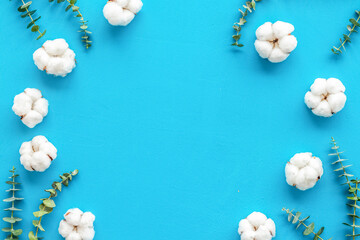 Flowers frame with fresh eucalyptus branches and cotton on blue background top view copy space