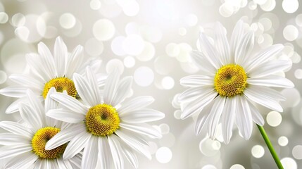 Obraz premium Flower on background, a picture of gorgeous blossom. Bright and vibrant, it's a wonderful natural decoration.