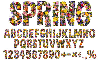 Flower font, a spring alphabet from real living flowers with a white background.