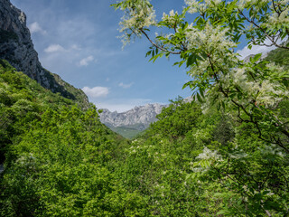 Der Nationalpark Paklenica bei Zadar in Kroatien