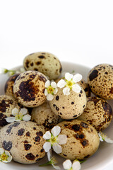 Top view of the quail eggs in a cup on a white background. Small flowers with eggs in bowl. Copy space