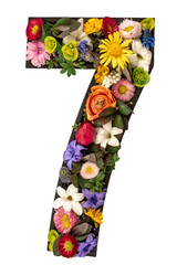 Number 7 made of real natural flowers and leaves on white background isolated.