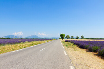 view of country road at summer day, Provence, France