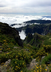 Sea of clouds in the mountains