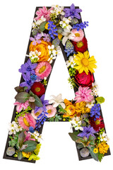 Letter A made of real natural flowers and leaves on white background isolated.