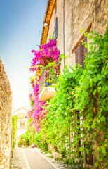 beautiful old town street with leaves and flowers of Provence at summer day, France, retro toned