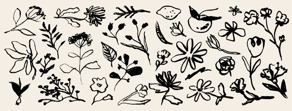 Naklejki Contemporary abstract minimal tattoo flower collection. Vector illustration. Ink hand drawn wild flowers set. Abstract plants art in charcoal or crayon drawing style. Pencil drawn floral elements.