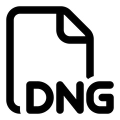 DNG file format icon in outline style. Simple document extension vector — pixel-perfect icon.