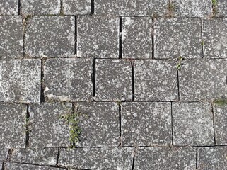 Natural stone texture. Photo Natural texture of natural stone