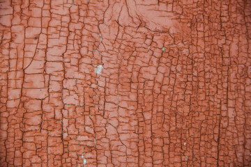 Old wood texture. Photo of natural wood. Rough wooden texture.