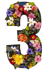 Number 3 made of real natural flowers and leaves on white background isolated.