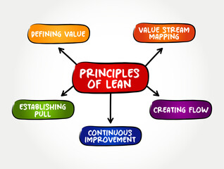 Naklejka premium Principles of Lean Services - application of lean manufacturing production methods in the service industry, mind map text concept background