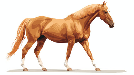 Tennessee Walking Horse flat vector illustration. 