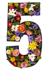 Number 5 made of real natural flowers and leaves on white background isolated.