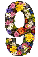Number 9 made of real natural flowers and leaves on white background isolated.