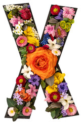 Letter X made of real natural flowers and leaves on white background isolated.