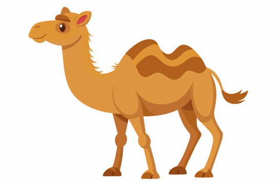A cartoon illustration of a smiling camel with two humps on its back and a tuft of hair on its tail.