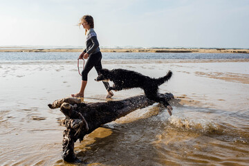 Pretty young girl playing with her Borders collie on the sunny beach.
