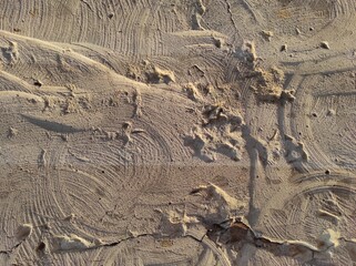 Texture of old textured concrete wall. Gray concrete texture