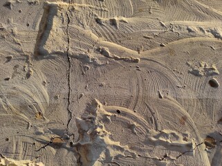 Texture of old textured concrete wall. Gray concrete texture