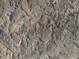Texture of old textured concrete wall. Gray concrete texture