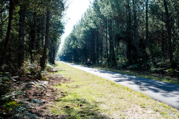 Cyclist riding on the cycle paths in the forests of Nouvelles Aquitaine