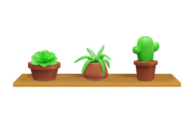 Green succulent plant in brown flowerpots on wooden shelf 3D vector, aloe, cactus and Echeveria tropical home decor