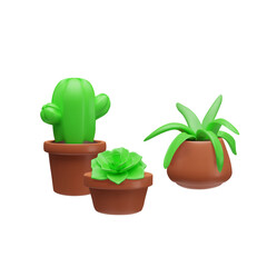 Green succulent plant in brown flowerpots 3D vector composition, aloe, cactus and echeveria potted herb, tropical decor
