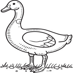 Goose coloring pages. Bird outline for coloring book