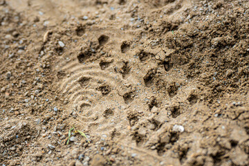 Cleated Footstep in the sand