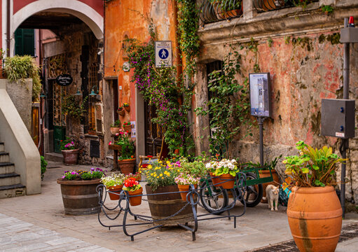 Fototapeta street in the village of Monterosso, Italy