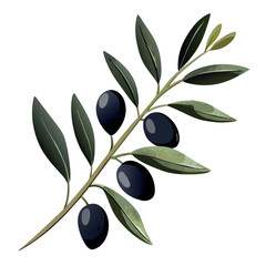A leafy olive tree branch with three olives on it. The olives are dark and shiny