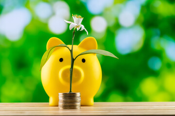 A cute plant growing on coins on the front with a beautiful piggy bank on the back - the concept of...
