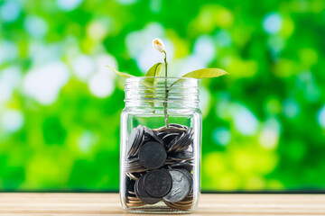 Money growth concept plant growing out of coins.