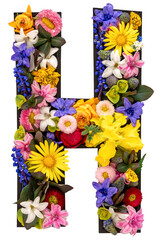 Letter H made of real natural flowers and leaves on transparent background.