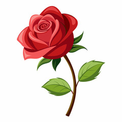 A Red rose vector art illustration (11)